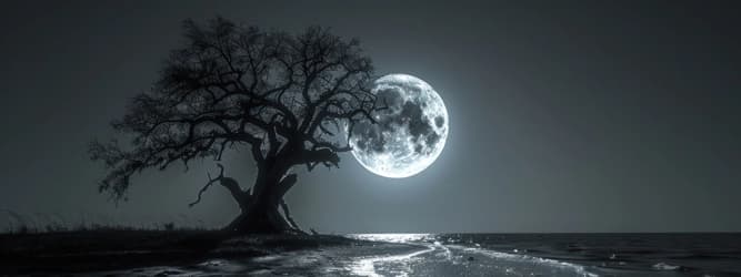 Pleine Lune & Nouvelle Lune : comprendre les cycles lunaires