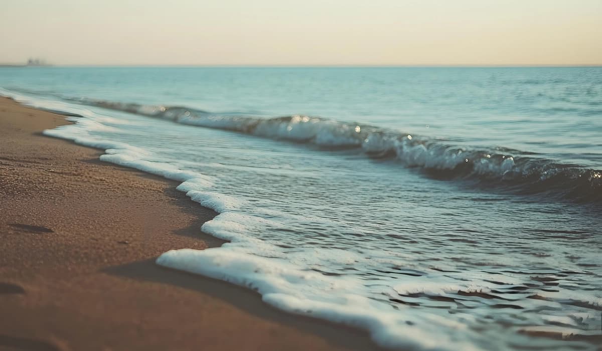 Illustration symbolique : Cancer