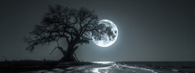 Pleine Lune & Nouvelle Lune : comprendre les cycles lunaires